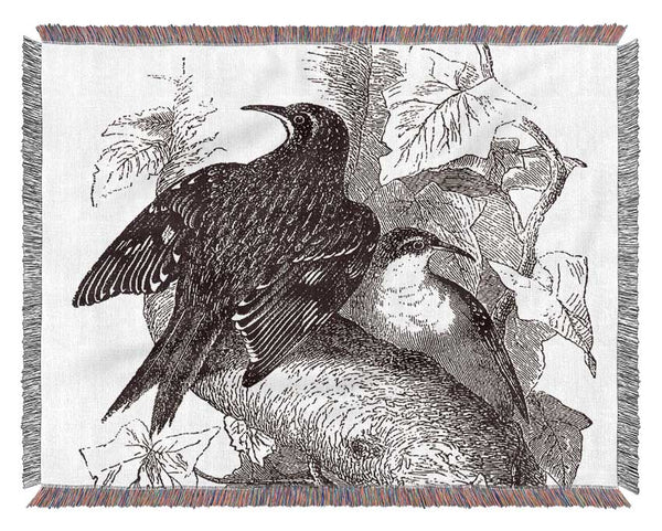 Old British Illustration Of Birds Woven Blanket