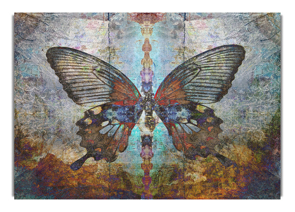 The Eroded Butterfly