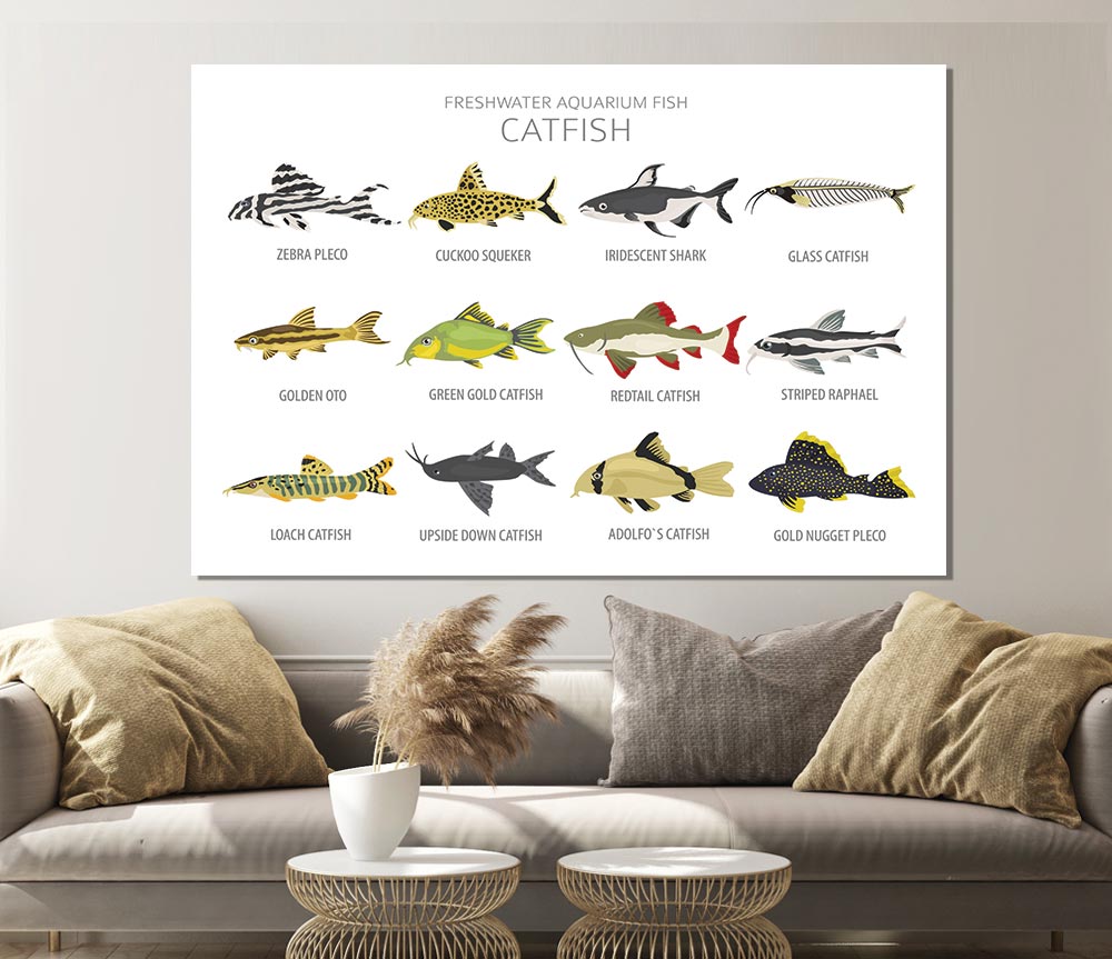 Catfish Chart Print Poster Wall Art