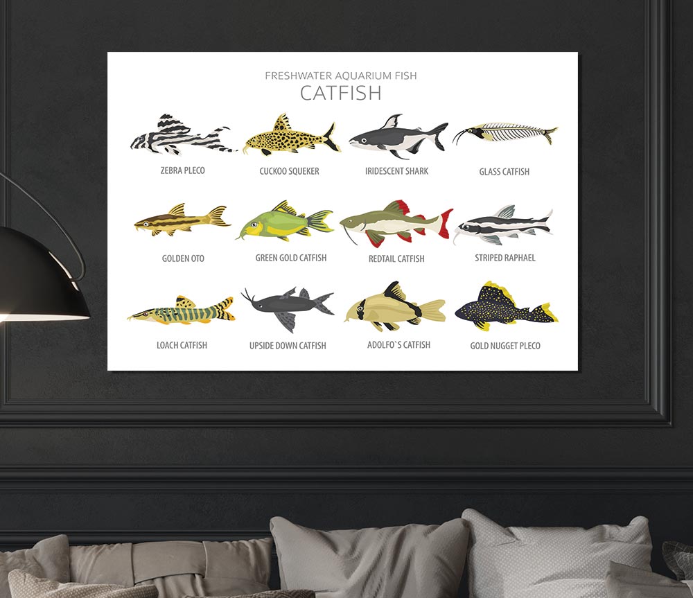 Catfish Chart Print Poster Wall Art