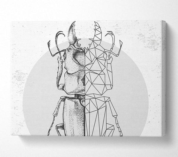 Picture of The Stag Beetle Sketch Canvas Print Wall Art