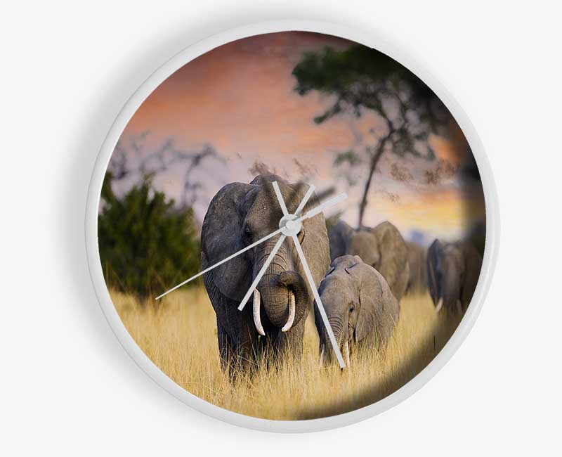 Elephants In Savannah Clock - Wallart-Direct UK