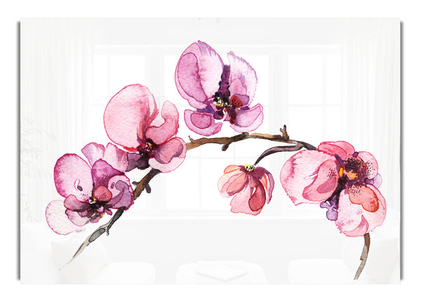 The Pink Orchid Branch Single