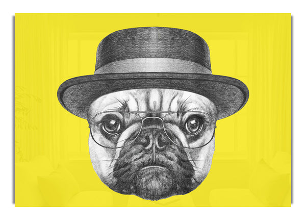 The Pug With A Hat