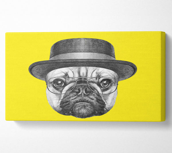 The Pug With A Hat