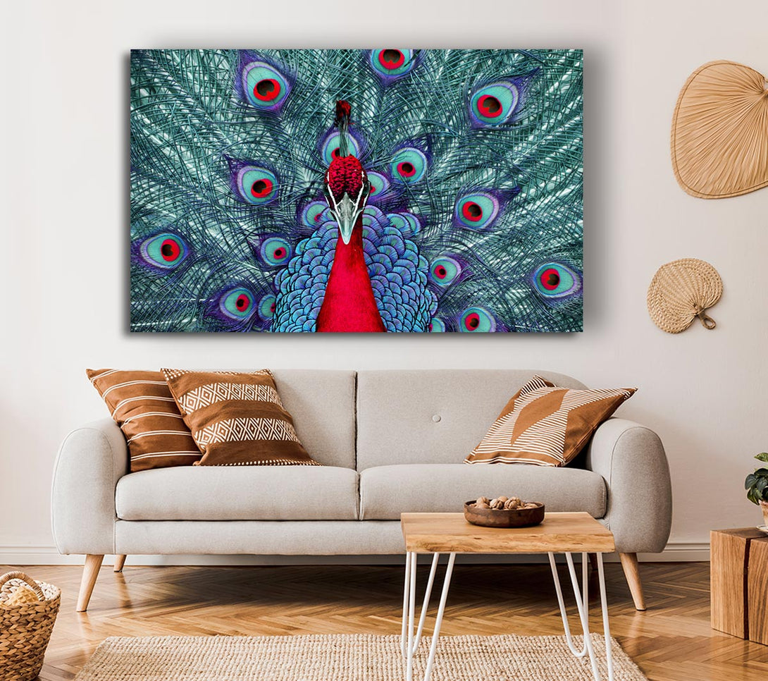 Picture of Peacock Beauty Canvas Print Wall Art