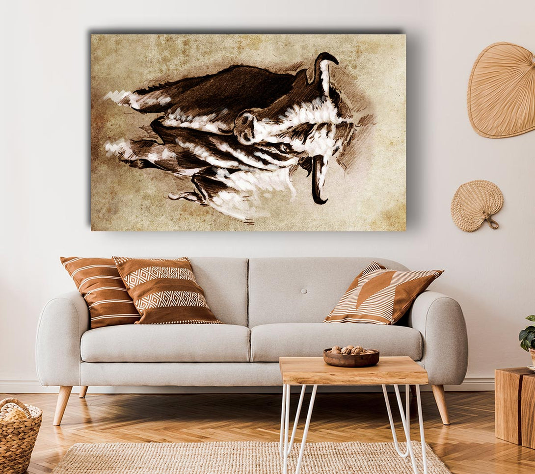 Picture of Bull Stare Canvas Print Wall Art