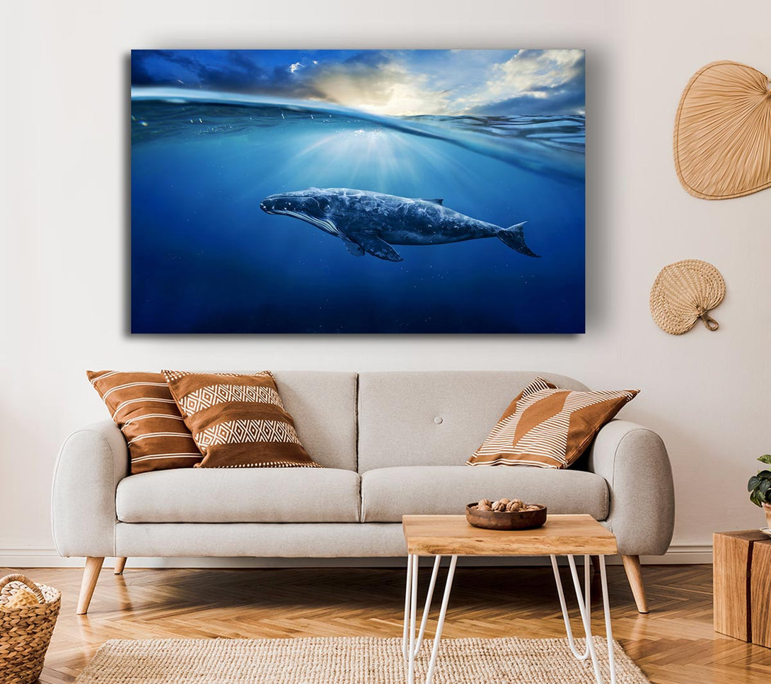 Picture of Ocean Whale Canvas Print Wall Art