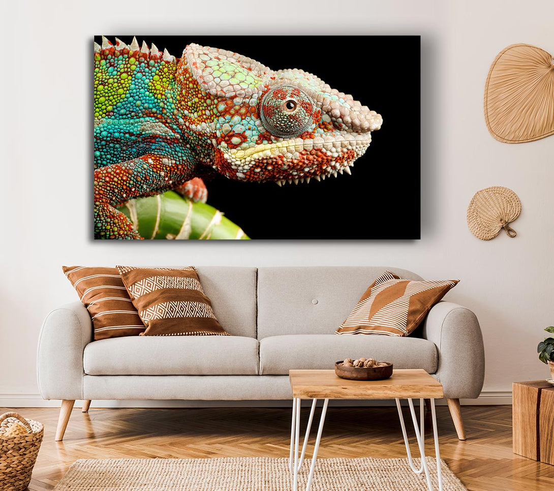 Picture of Chameleon Face Canvas Print Wall Art