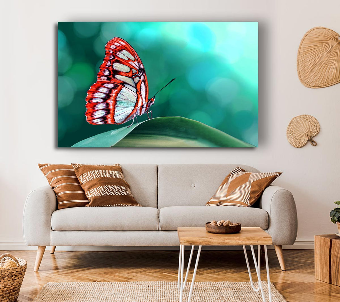 Picture of Butterfly Wings 1 Canvas Print Wall Art