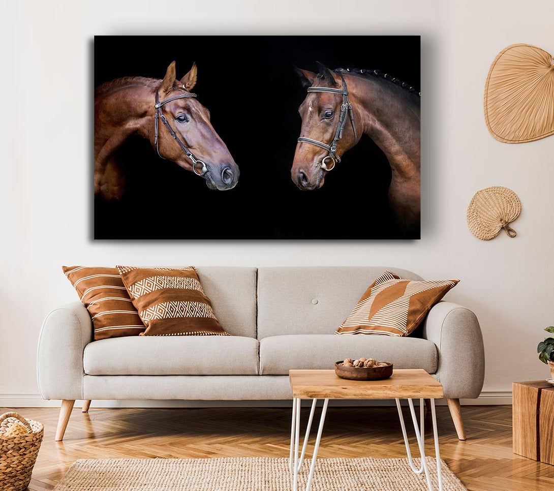 Picture of Horse Duo Canvas Print Wall Art