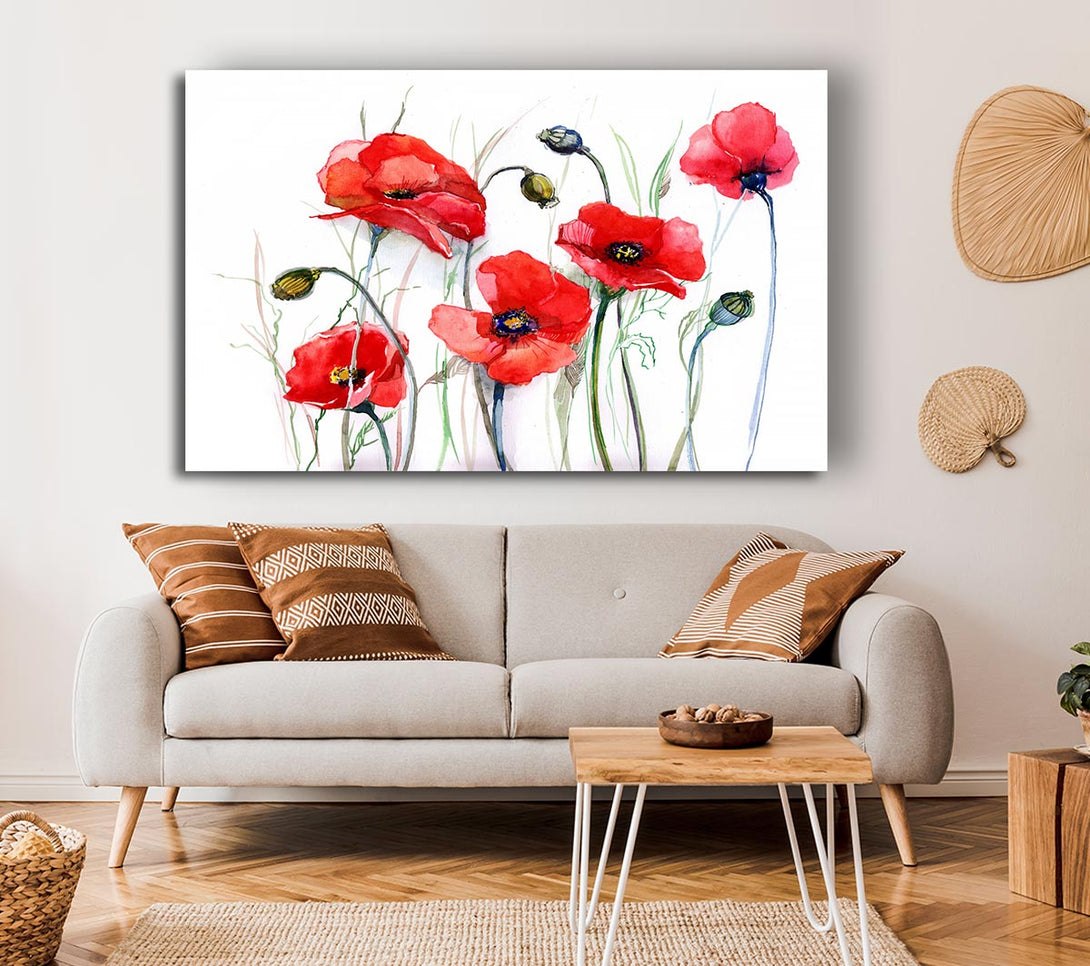 Picture of Poppy Magic Skies Canvas Print Wall Art