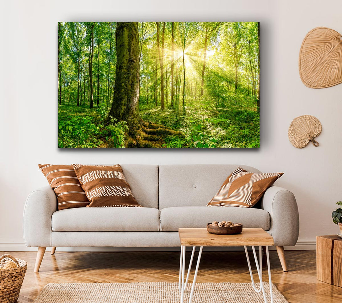 Picture of Bright light flare in the forest Canvas Print Wall Art