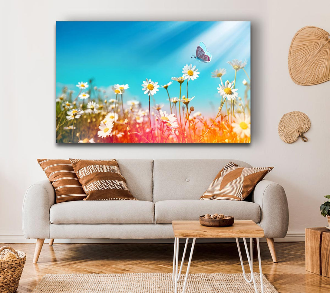 Picture of Butterfly landing on a daisy Canvas Print Wall Art