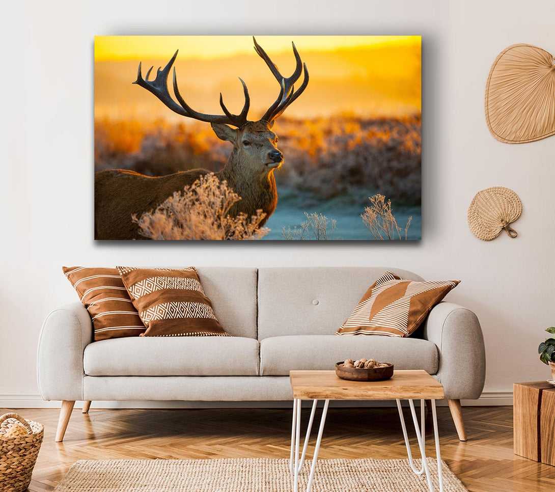 Picture of Crisp winters stag Canvas Print Wall Art