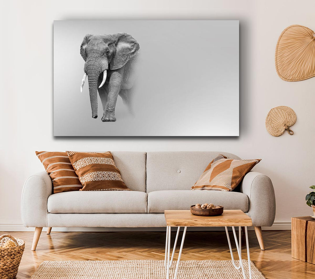 Picture of Elephant In The Mist Canvas Print Wall Art