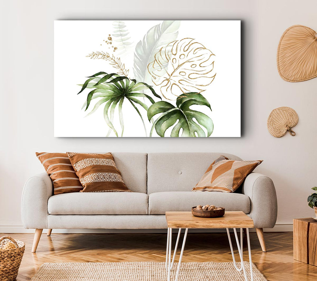 Picture of Beautiful Cheese Plant Canvas Print Wall Art