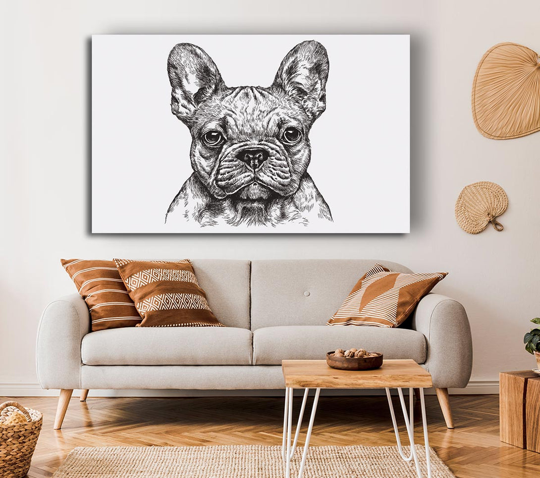 Picture of French Bulldog Sketch Canvas Print Wall Art