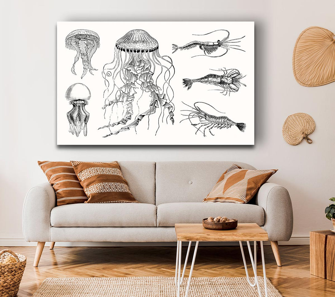 Picture of Jellyfish And Shrimp Canvas Print Wall Art