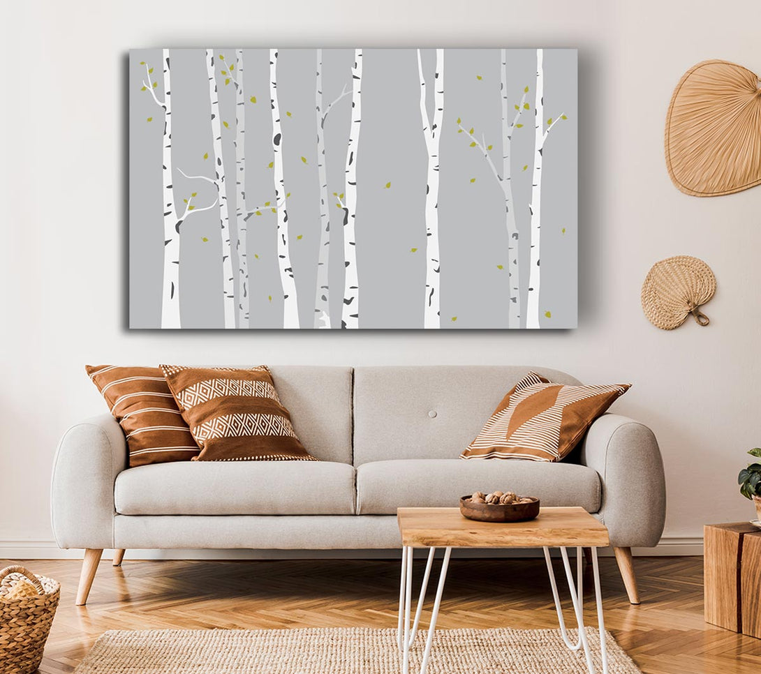 Picture of Birch Trees On Grey Canvas Print Wall Art