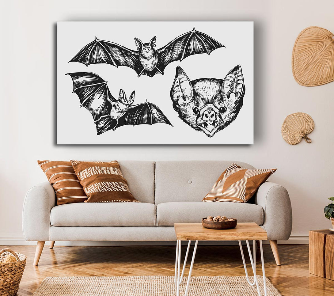 Picture of The Trio Of Bat Illustrations Canvas Print Wall Art