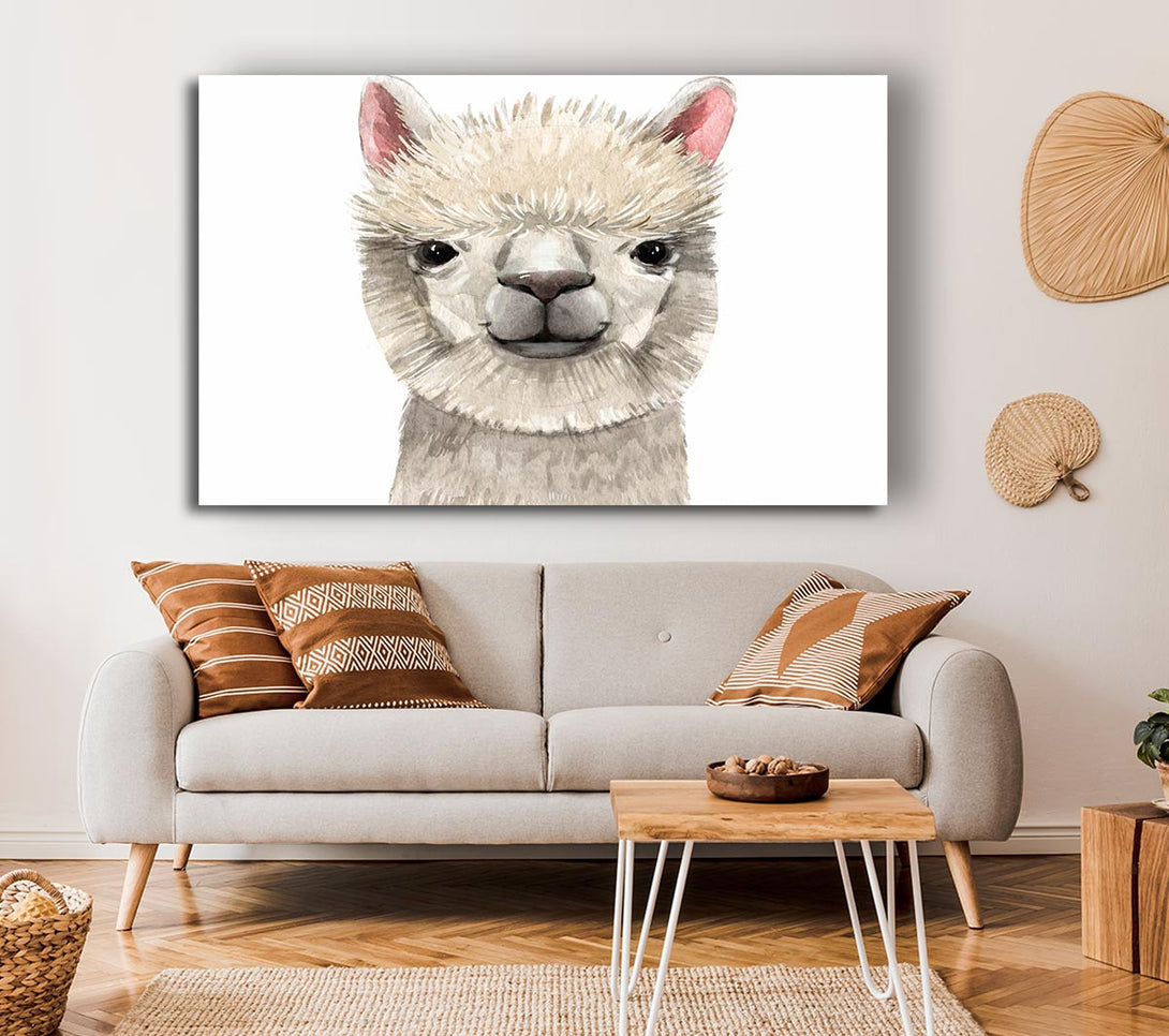 Picture of Llama Drama Canvas Print Wall Art