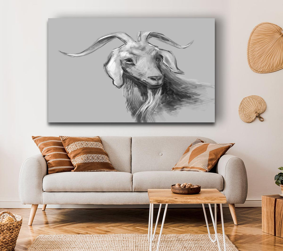 Picture of The Sketch Goat Canvas Print Wall Art