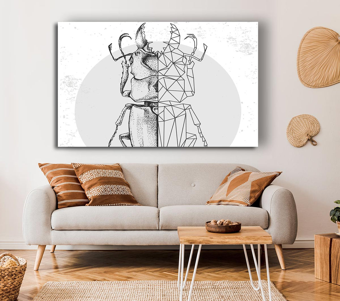 Picture of The Stag Beetle Sketch Canvas Print Wall Art