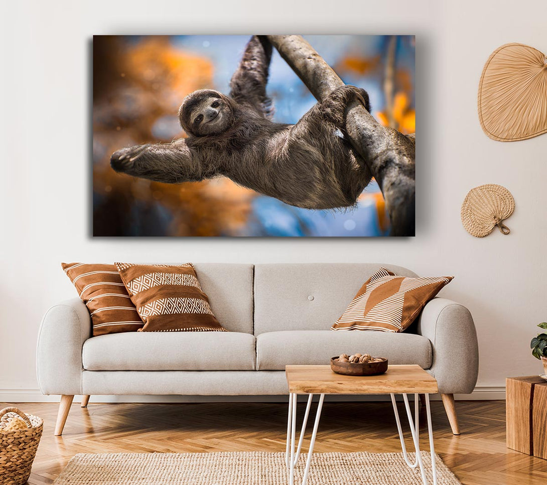 Picture of Sloth Hanging From A Tree Canvas Print Wall Art