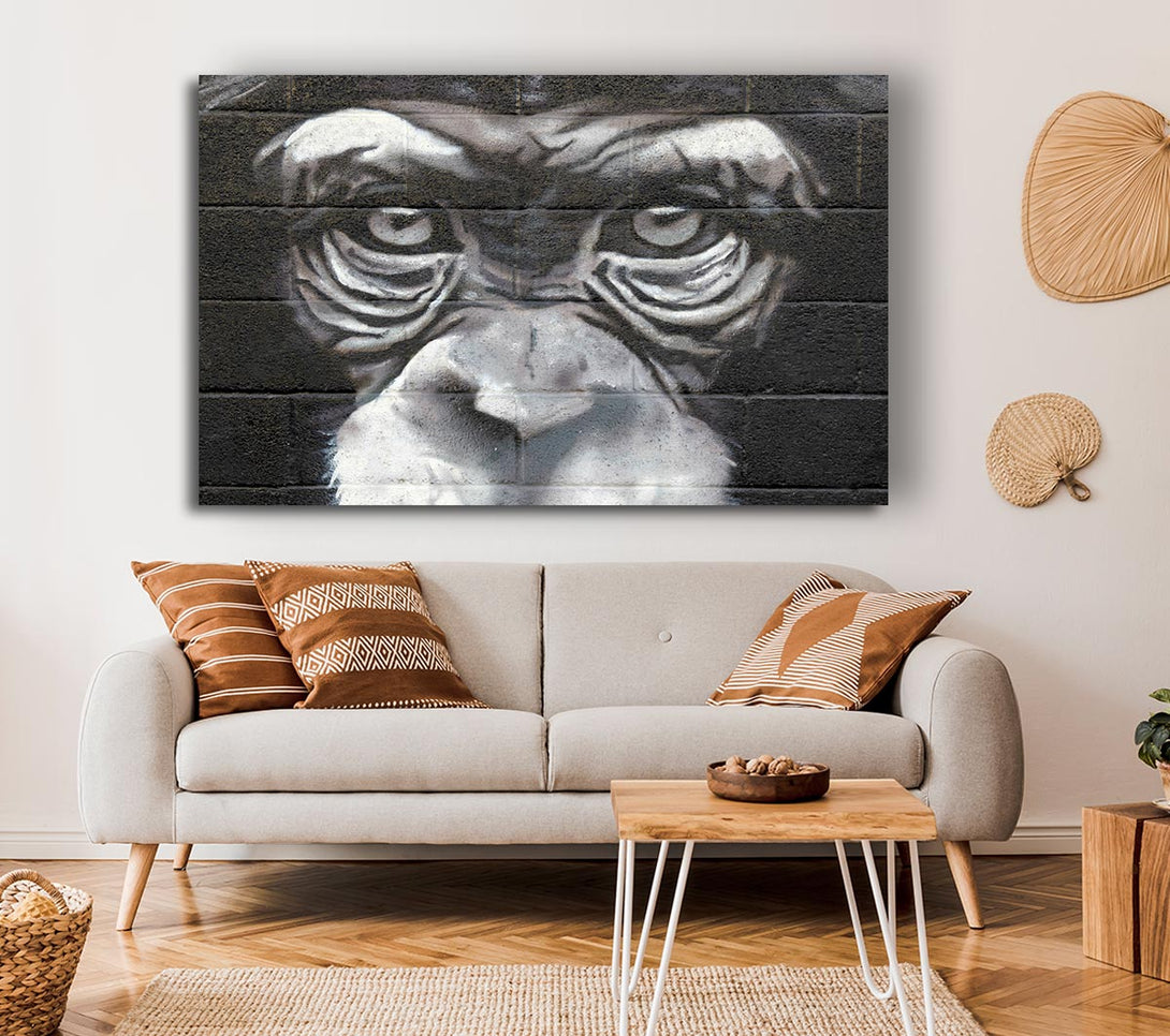 Picture of The Chimp Eyes Canvas Print Wall Art