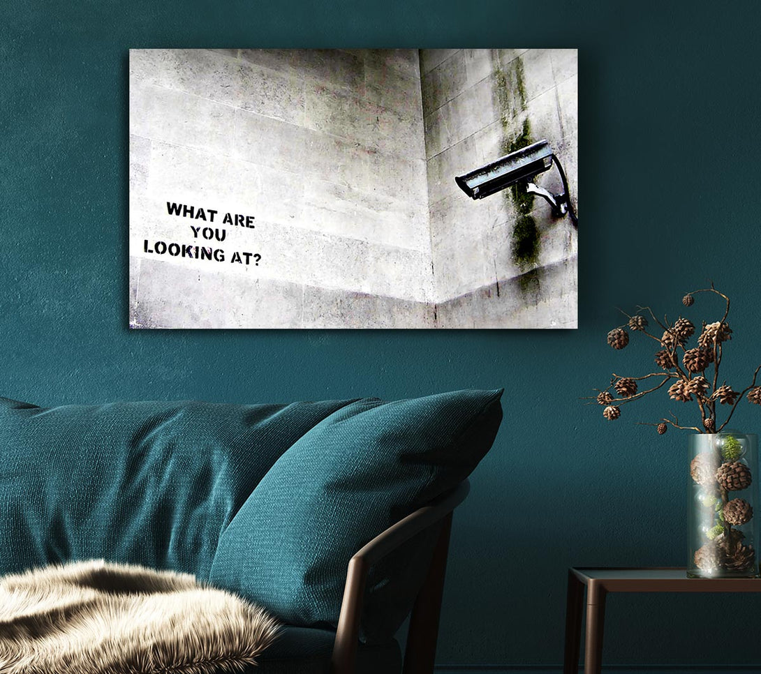 Picture of What Are You Looking At Canvas Print Wall Art