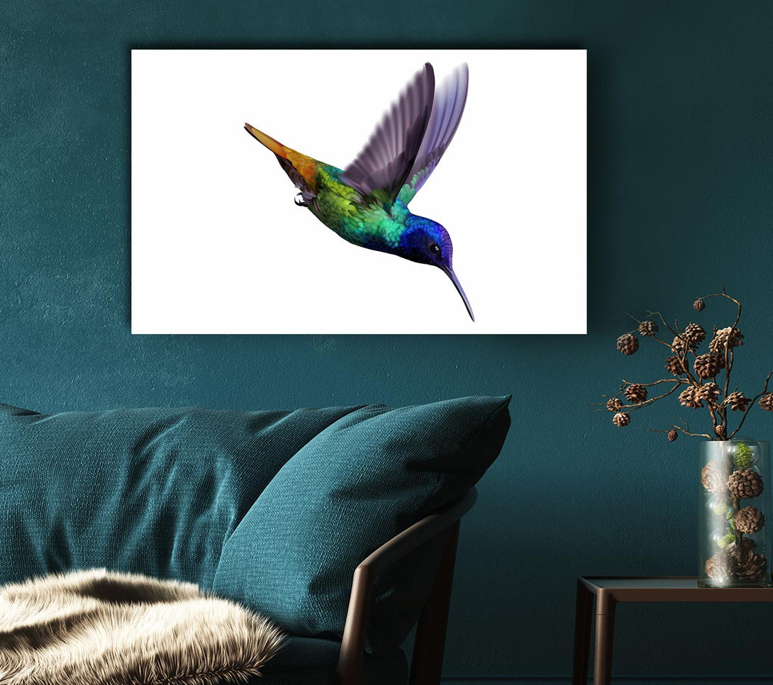 Picture of Hummingbird Colours Canvas Print Wall Art