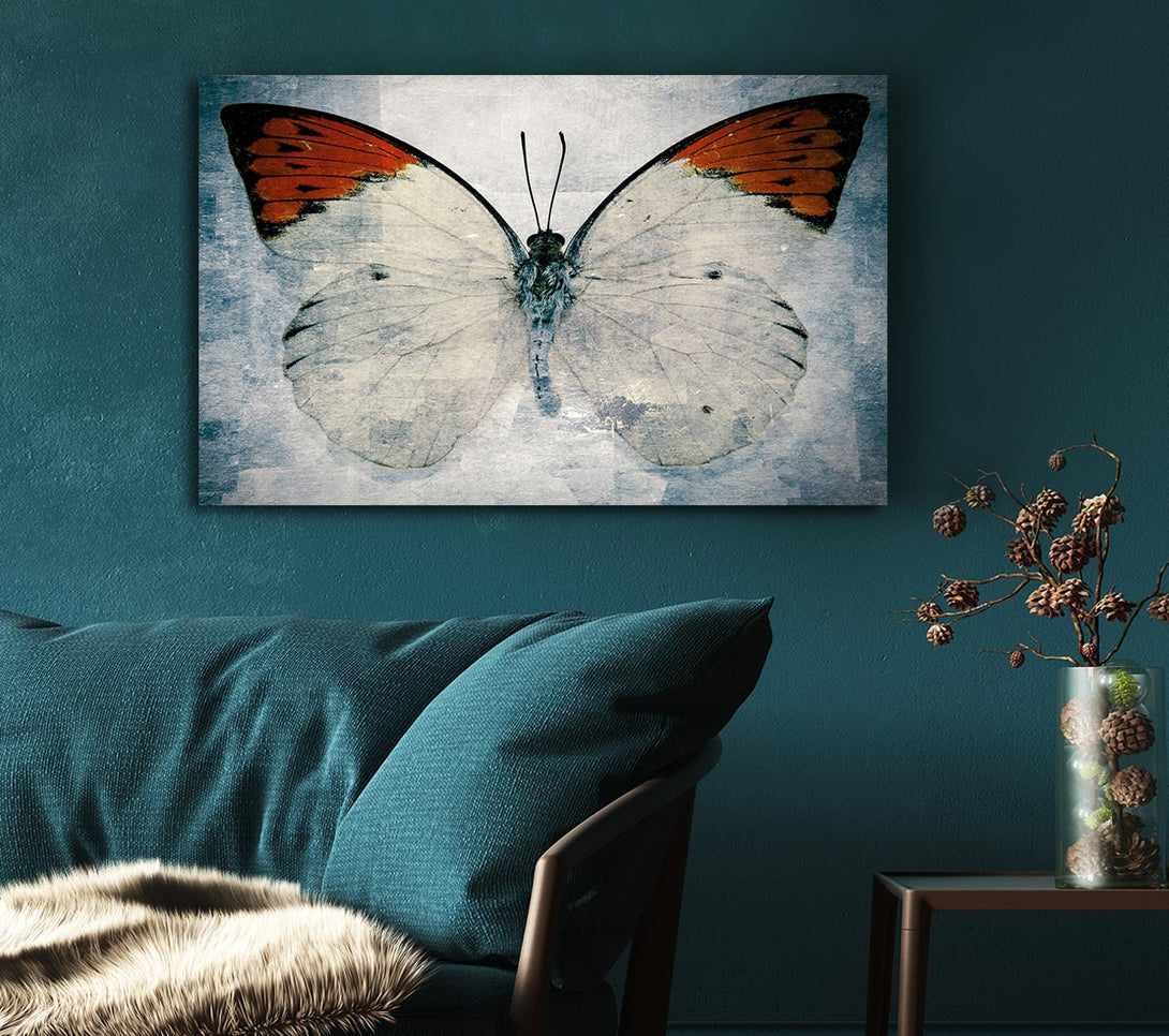 Picture of Orange Tipped Butterfly Canvas Print Wall Art