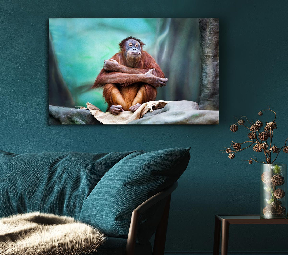 Picture of Orangutan Forest Canvas Print Wall Art