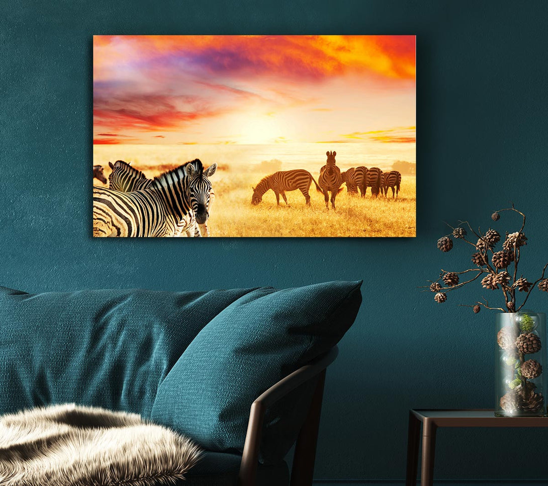 Picture of Zebra Sunset Safari Canvas Print Wall Art