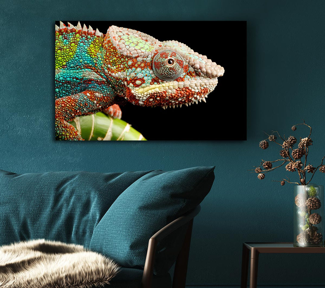 Picture of Chameleon Face Canvas Print Wall Art