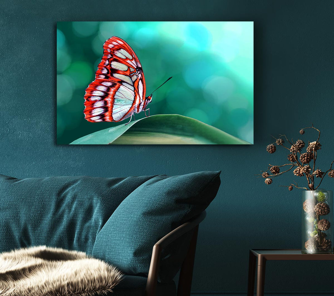 Picture of Butterfly Wings 1 Canvas Print Wall Art