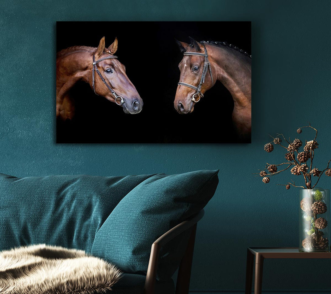 Picture of Horse Duo Canvas Print Wall Art