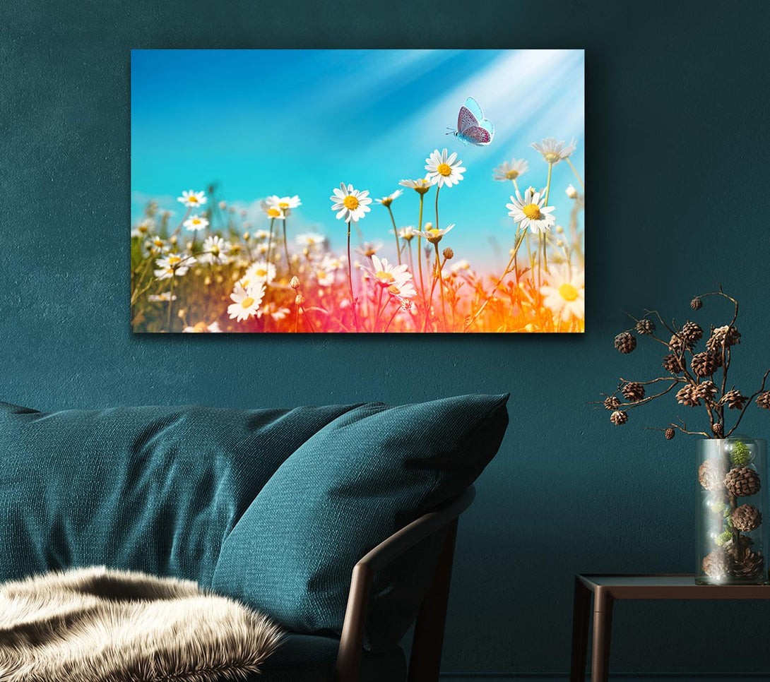 Picture of Butterfly landing on a daisy Canvas Print Wall Art