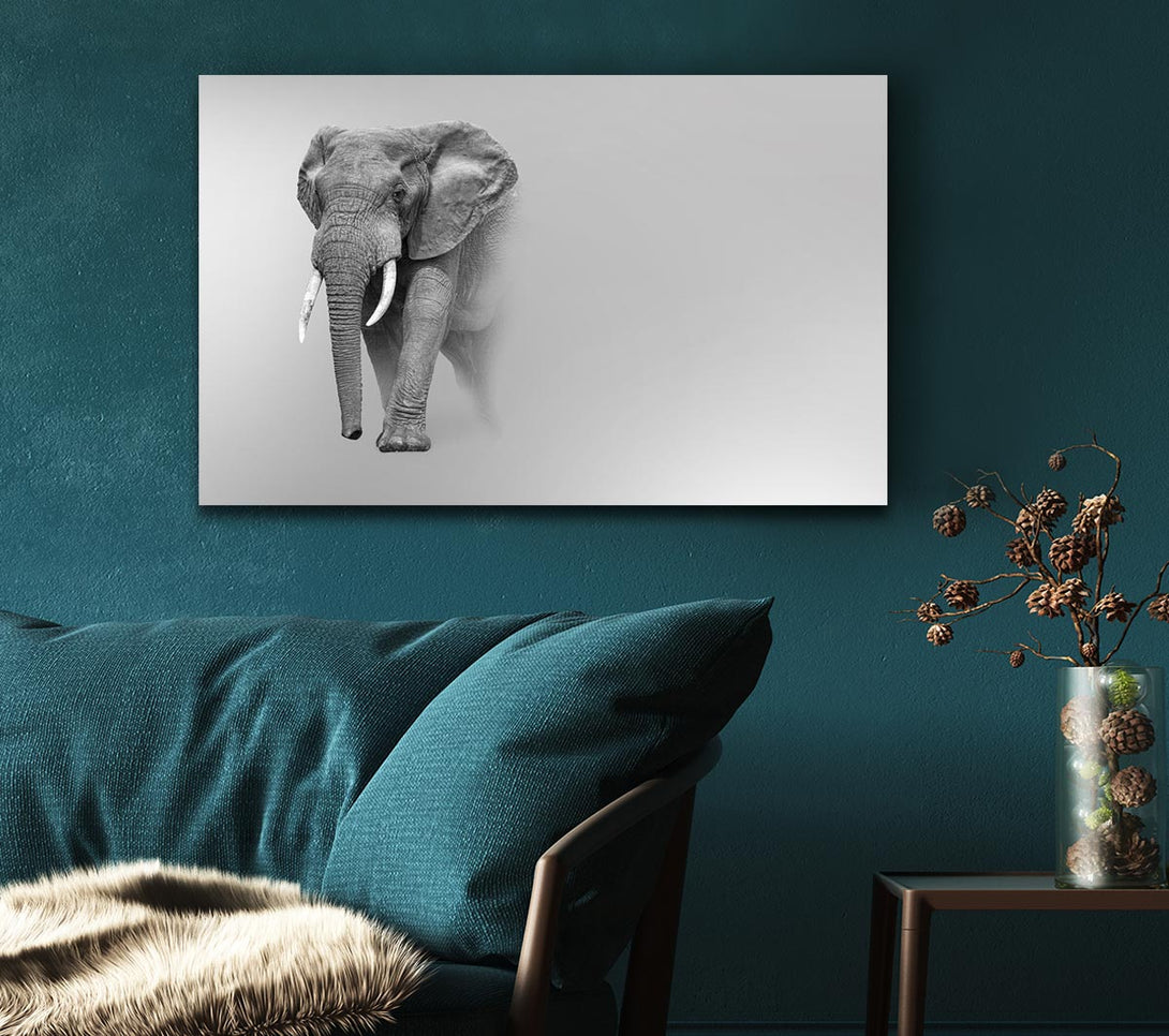 Picture of Elephant In The Mist Canvas Print Wall Art