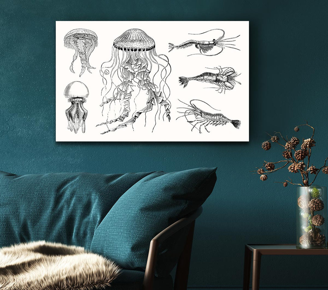 Picture of Jellyfish And Shrimp Canvas Print Wall Art