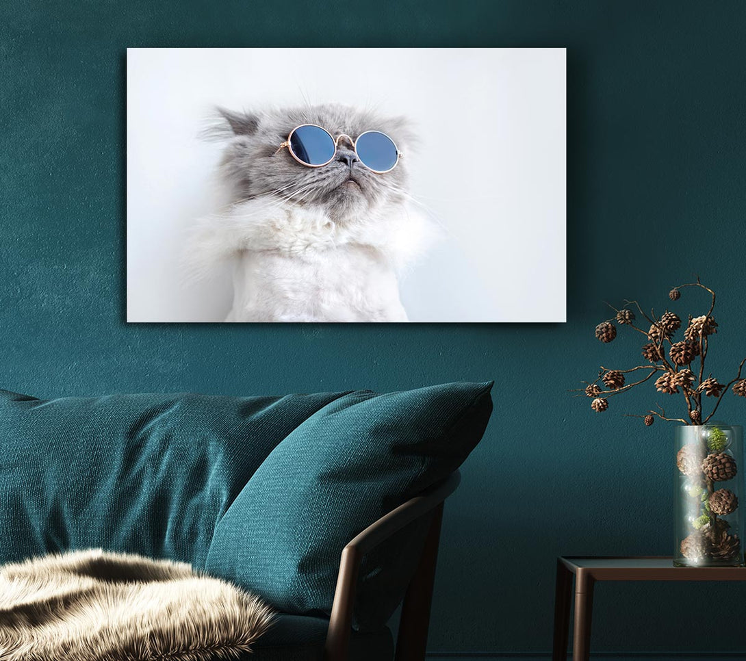 Picture of The Cat In Glasses Canvas Print Wall Art