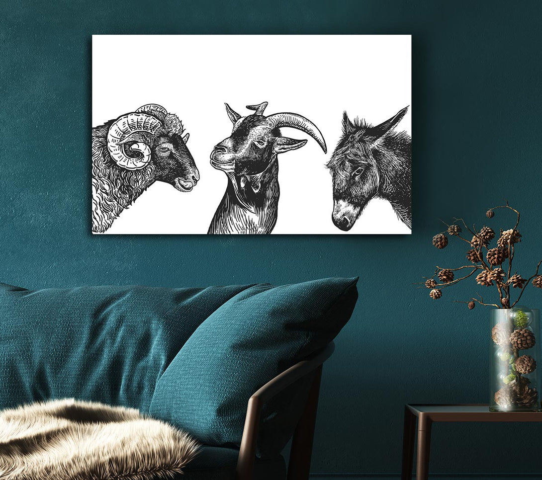 Picture of Goat Sheep Donkey Canvas Print Wall Art