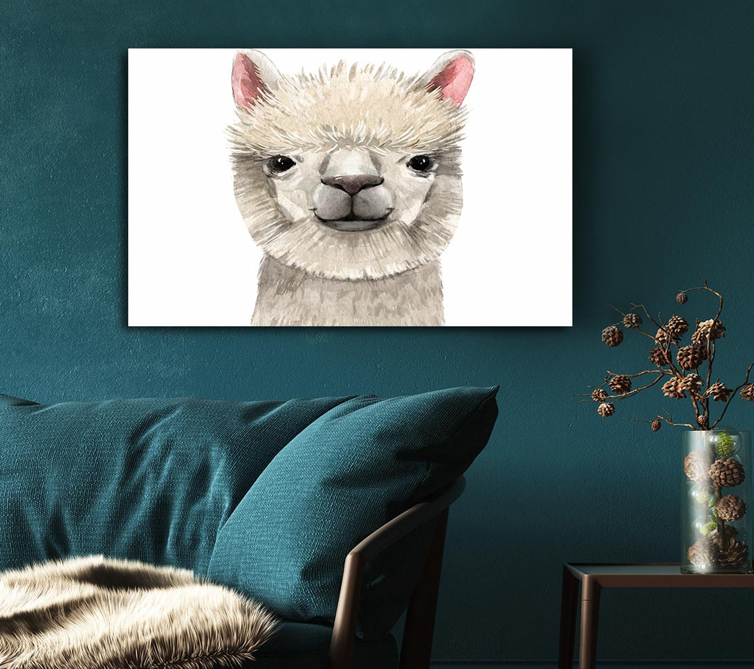 Picture of Llama Drama Canvas Print Wall Art