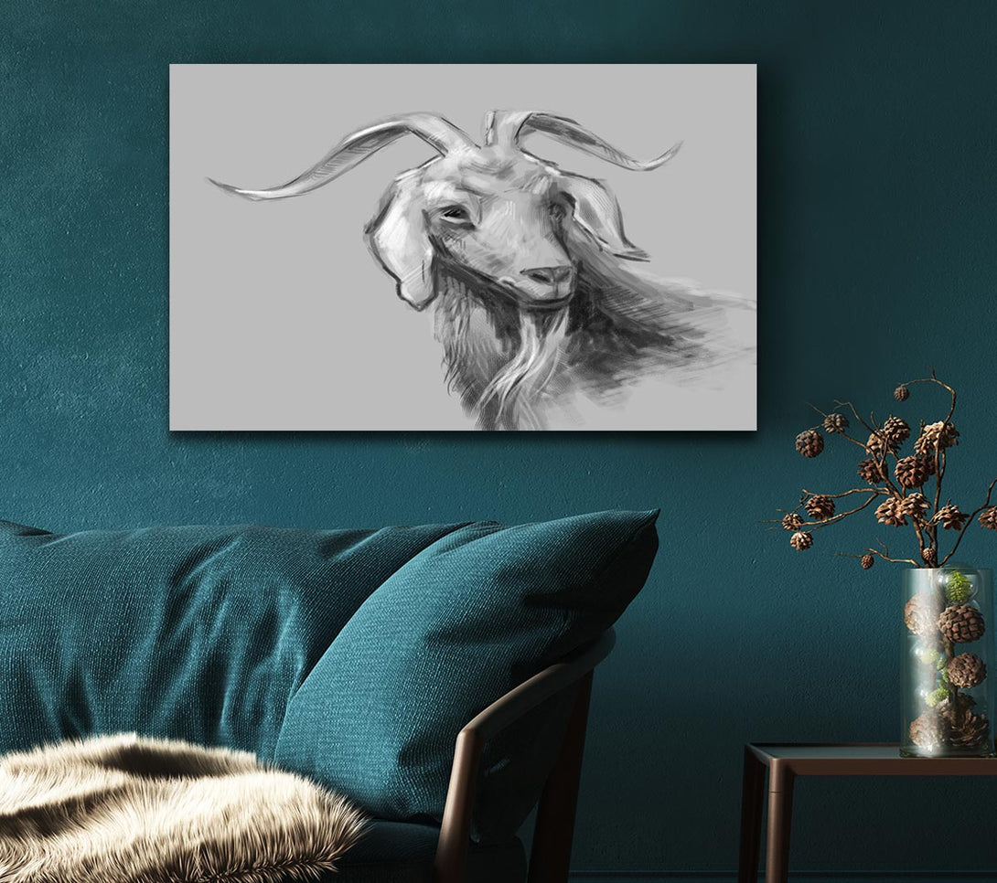 Picture of The Sketch Goat Canvas Print Wall Art