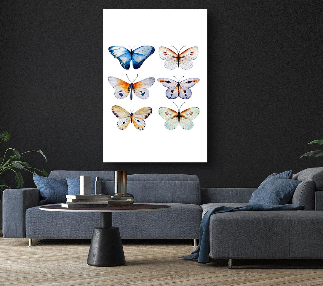 Picture of Butterfly Breeds Canvas Print Wall Art