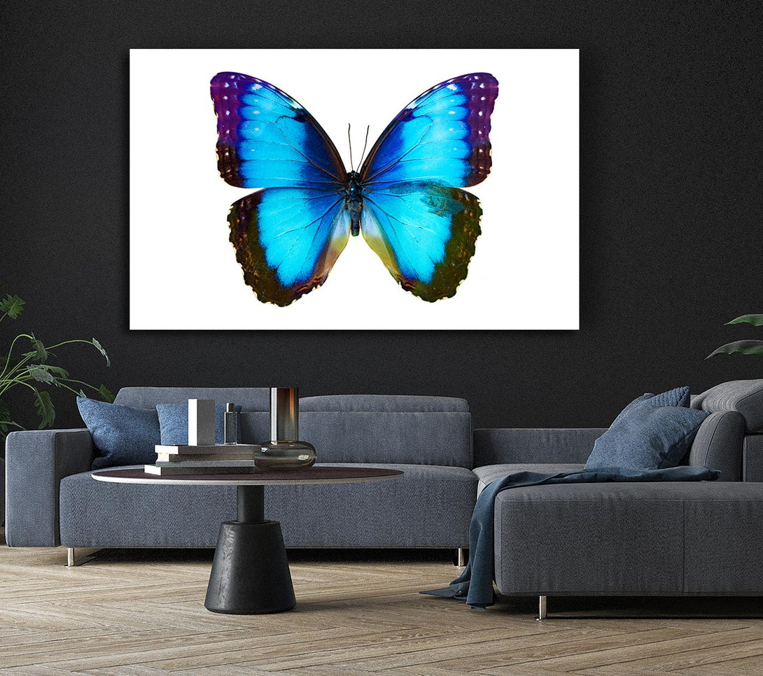 Picture of Electric Butterfly Canvas Print Wall Art