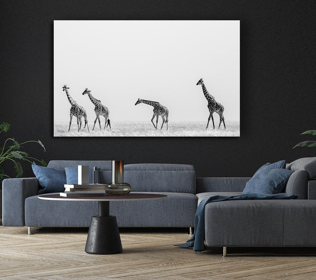 Picture of Giraffe Safari LineUp Canvas Print Wall Art