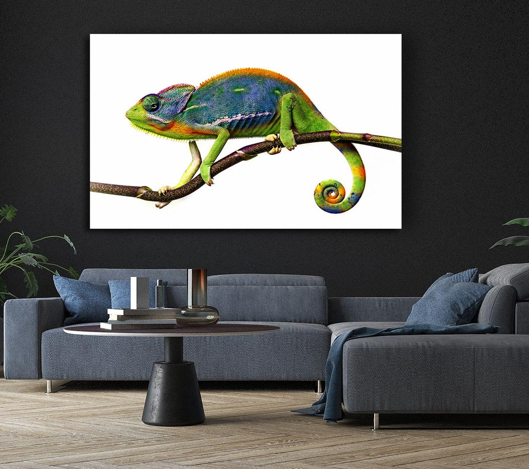 Picture of Chameleon Branch Canvas Print Wall Art