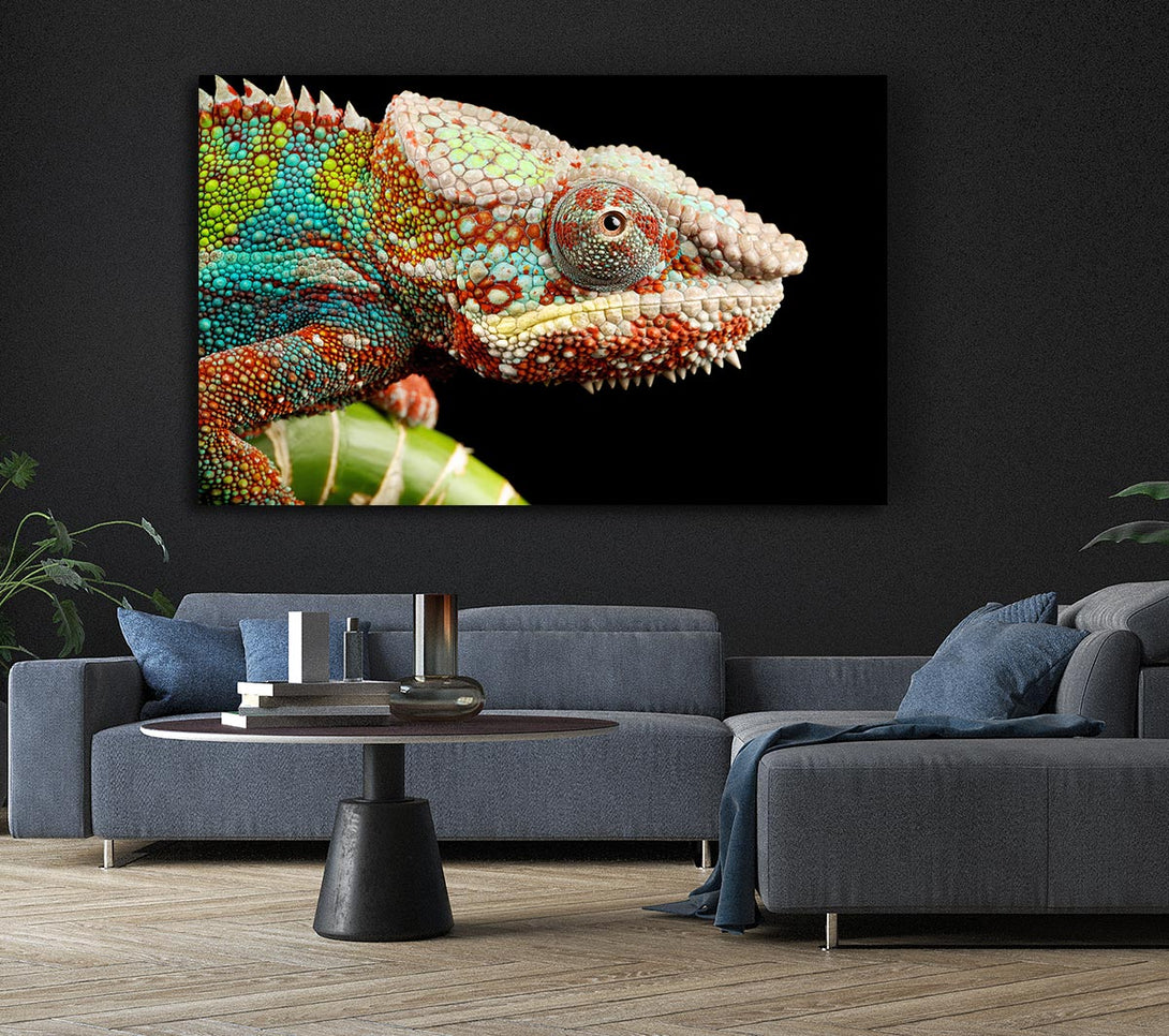 Picture of Chameleon Face Canvas Print Wall Art